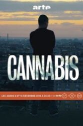 Cannabis