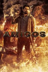 Amigos