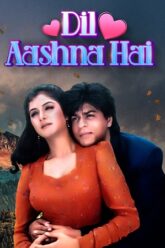 Dil Aashna Hai (1992) poster