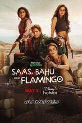 Saas Bahu Aur Flamingo