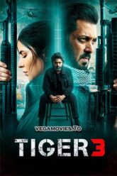 Tiger 3