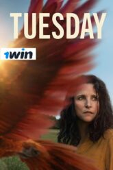 Tuesday