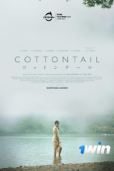 Cottontail